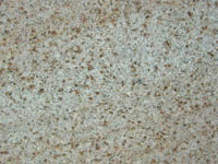 Kubis-Granit: granit - Yellow Rock