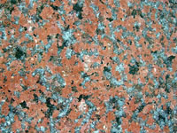 Kubis-Granit: granit - Arican Red